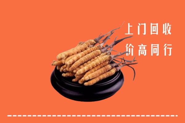 沧州海兴县回收散虫草