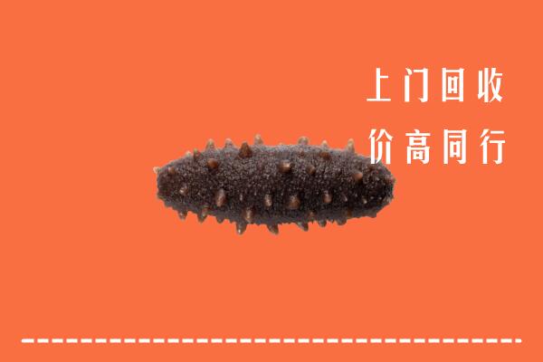 沧州海兴县回收海参