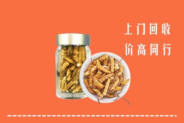 沧州海兴县回收冬虫夏草
