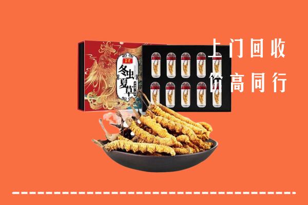 沧州海兴县回收虫草